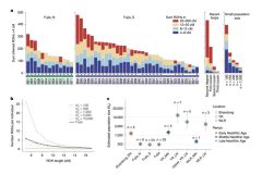 World’s First! Chinese Scientists Confirm Existence of Prehistoric Matrilineal Social Structure, Fujia Archaeological Site in Guangrao Rewrites Timeline of Genetic Evidence